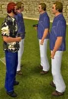 Банди в GTA Vice City vice