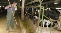 захистом
