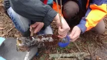 ПривітСочи привітсочи