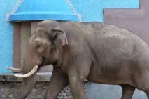 ÑÑо Ñакое наÑка ѸгРðºð¾ðµ