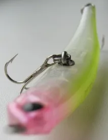 minnow