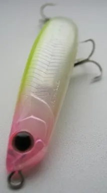 minnow