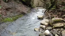 ПривітСочи Беранда