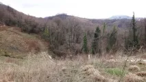 ПривітСочи привітсочи