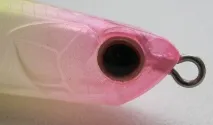 minnow