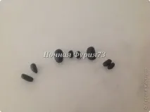 Беззубик (Нічна Фурія), Країна Майстрів. білий