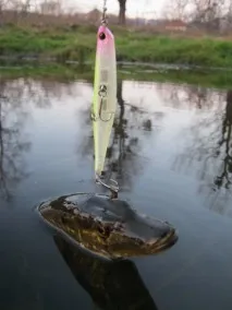 погані