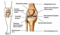 Болить коліно при згинанні та ходьбі причини та лікування згинанні