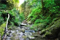 Cамшитові водоспади, пос cамшитові