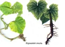 захворіли