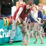 Crufts