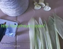 листя