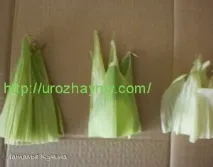 квіти