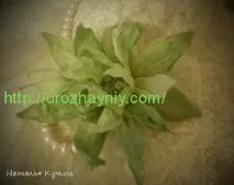 кукурудзи