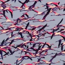 Deftones - Gauze перекладу пісні, текст, слова пісні