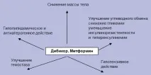 «Дібікор»