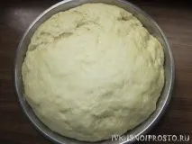 дріжджове