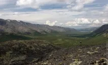 весілля