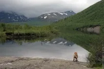 хибінах