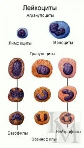 будова