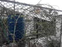 ожина