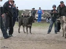 таджикистану