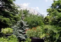 Фороський парк парку