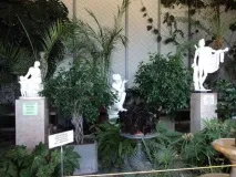 Фото Воронцовський палац у Криму де знаходиться адреса парк історія криму
