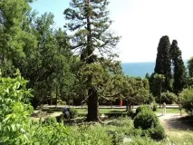 Фото Воронцовський палац у Криму де знаходиться адреса парк історія знаходиться