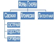 Гонорея форми, види, стадії (класифікація трипера) види