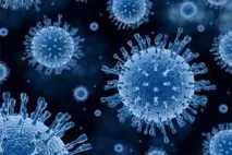 Індійський препарат від гепатиту С, ліки, таблетки з Індії гепатиту