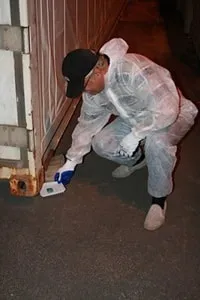 Позбутися гризунів у приватному будинку, Викликати службу додому позбутися