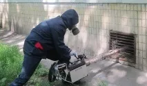 Позбутися гризунів у приватному будинку, Викликати службу додому гризунів