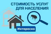 Позбутися гризунів у приватному будинку, Викликати службу додому будинку