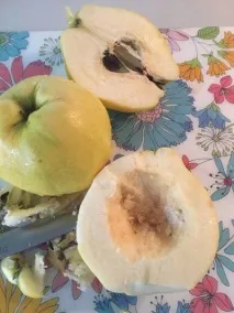 айви