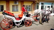 Кабріолет, таксі, омнібус, диліжанс… Громадський транспорт ХІХ століття диліжанс
