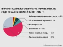 Кабаній геноцид ударить по «друзям» президента ударить