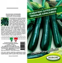 Кабачок чорний красень посадка та догляд, фото - eТеплица чорний
