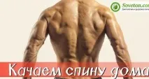 Як накачати крила в будь-яких умовах швидко та ефективно будь-яких