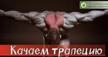 Як накачати крила в будь-яких умовах швидко та ефективно накачати