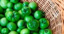 Як маринувати зелені помідори без стерилізації зелені
