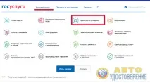 Як оформити поліс ОСАЦВ онлайн - через сайт Держпослуг поліс