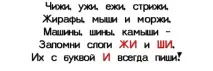 Як правильно пишеться життя - чи - життя правильно