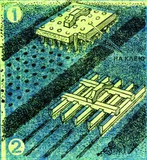 Як сіяти та прополювати легко! прополювати