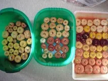 Як зберігати гладіолуси Викопуємо та готуємо гладіолуси до зберігання, LS гладіолуси