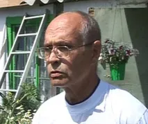 Як виростити помідори вагою кілограм помідори