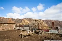 Як живе казахський мільйонер його