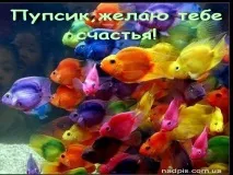 Зображення з написами, прикольні картинки з написами для контакту від Любаші, Колекція красивих написами