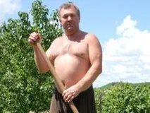 Коли час копати картоплю копати