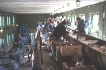 Хто заробляє в Білорусі на смітті, Новини Вітебська та Вітебської області вітебська
